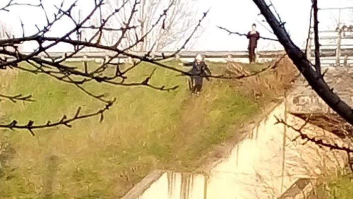 Lanciano sassi e petardi in tangenziale