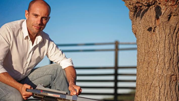 L'esperto: «Gli alberi che cadono spesso sono malati»