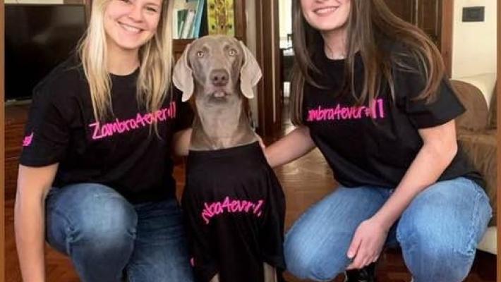 «Zambra per sempre», Alessia va ancora a canestro