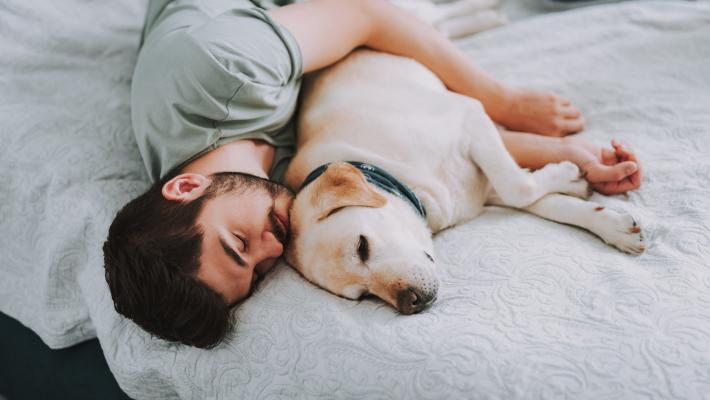 Dormire con cane  o gatto?  Ok   la stessa stanza, no  lo stesso letto