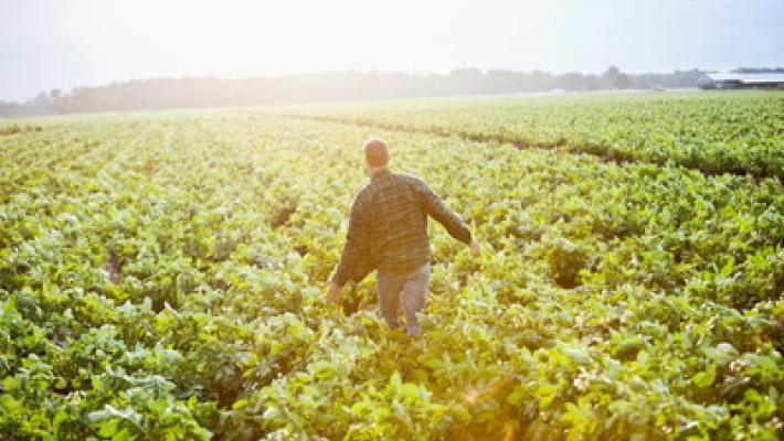 A Parma corre la green economy, agroalimentare in testa