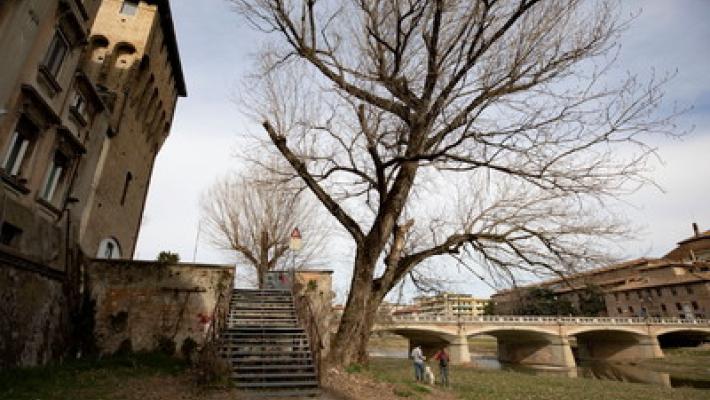 A spasso nel greto del torrente: sorprese senza fine