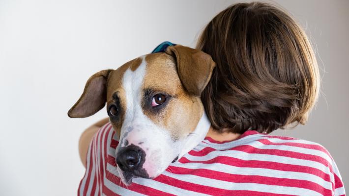 Enpa: «Un miracolo, tutti i nostri cani hanno trovato casa»
