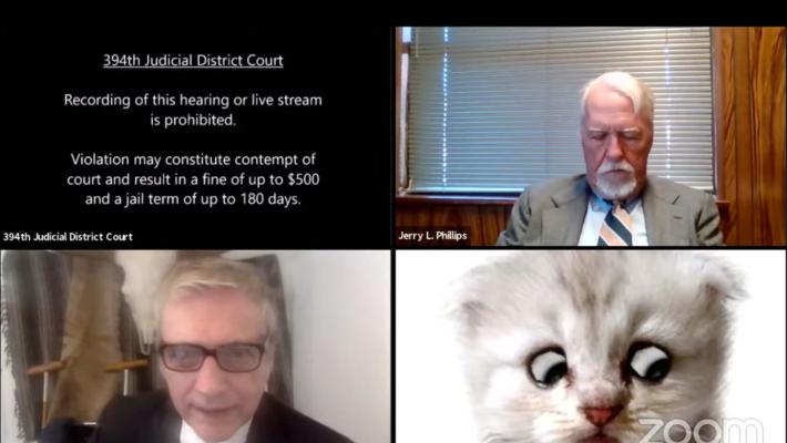 Avvocato in udienza con Zoom: "Non sono un gatto"