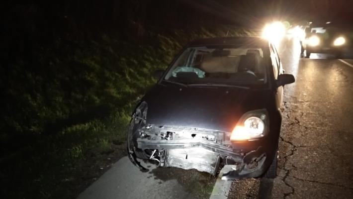 Cinghiale attraversa la strada: due auto lo centrano