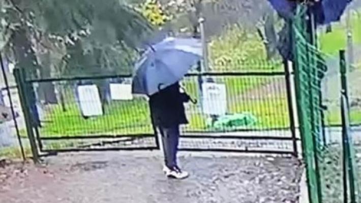 Parco Chini, un'altra incursione dei vandali