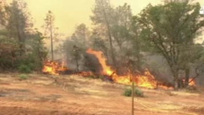Rischio incendi boschivi, da sabato 26 marzo in Emilia-Romagna scatta lo stato di grave pericolosità: allerta codice arancione per l’aggravarsi della siccità