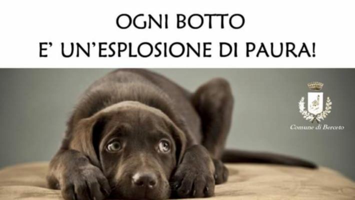 Botti: li vieta un Comune su 5