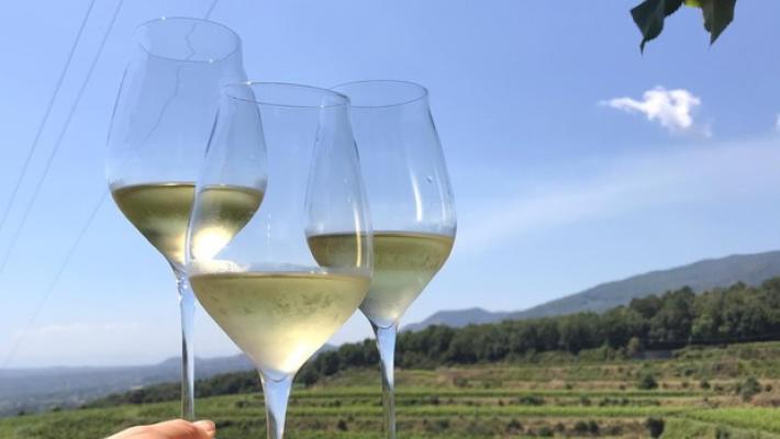 I sommelier e la paura del Covid, ecco un nuovo metodo di degustazione