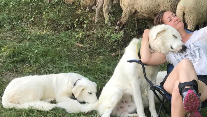 Deborah e Gabriele, allevatori: «Le nostre pecore e la convivenza coi lupi»