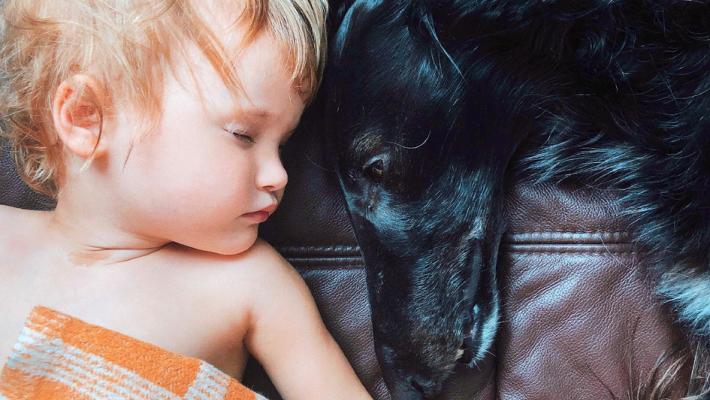 La compagnia  di un pet migliora il sonno dei bimbi in lockdown