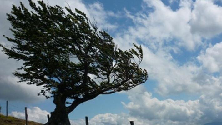 Allerta meteo gialla per vento