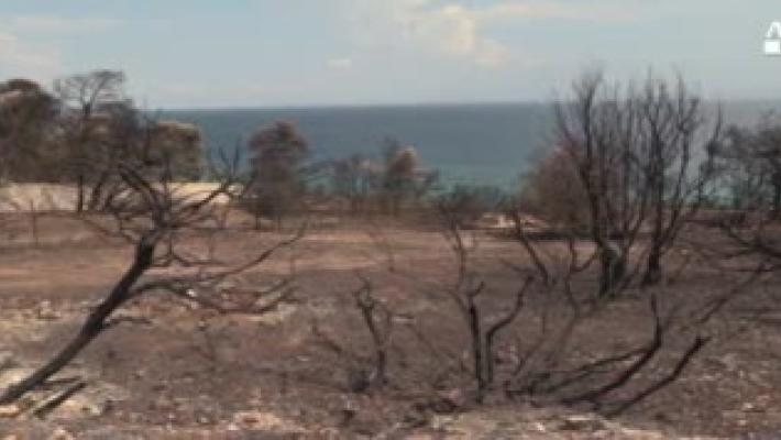 Aumentano i morti in Grecia, nel mirino case abusive al mare