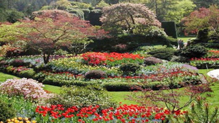 Interno Verde: per un weekend si svela l'anima fiorita di Parma. Chi vuole aprire al pubblico il proprio giardino?