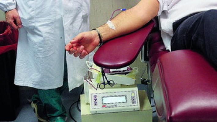 Emilia Romagna, stabili le donazioni di sangue, ma c'è bisogno di plasma che è in calo