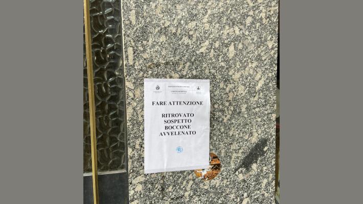 Via Berenini: boccone avvelenato in centro? Analisi in corso