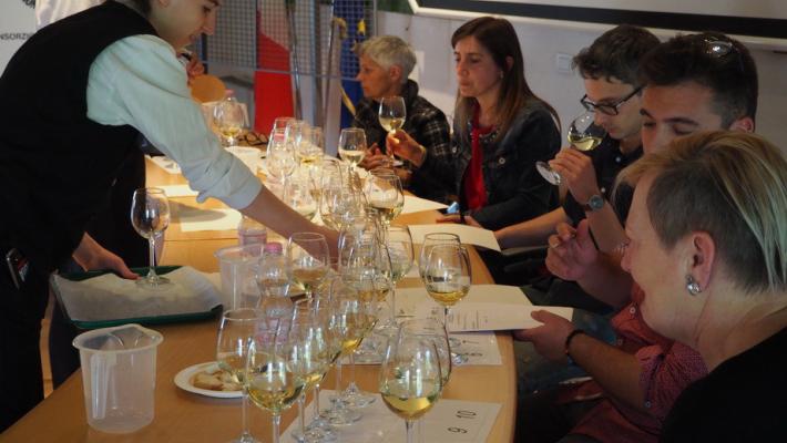 Festival della Malvasia: visite online a cantine e vigneti. E torna il Premio Cosèta d’Or