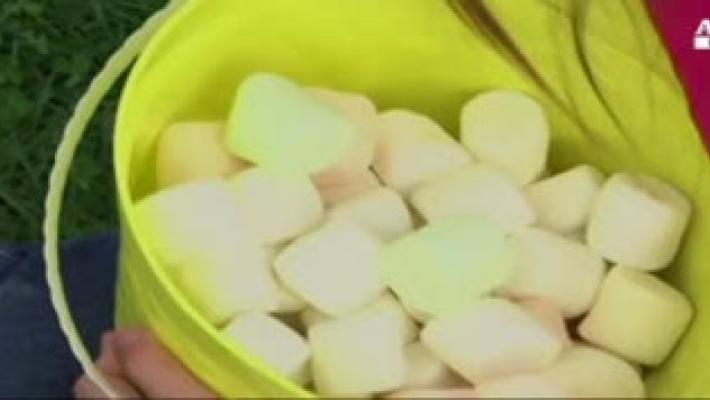 In Michigan piovono marshmallows... Video