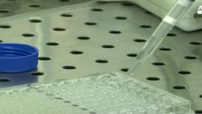 Boom morbillo in Italia, +230% casi da inizio anno Video