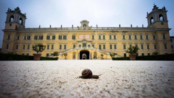 Il settimo sigillo del Festival della Lentezza. Arrivano anche Ascanio Celestini, Moni Ovadia e Marco Paolini