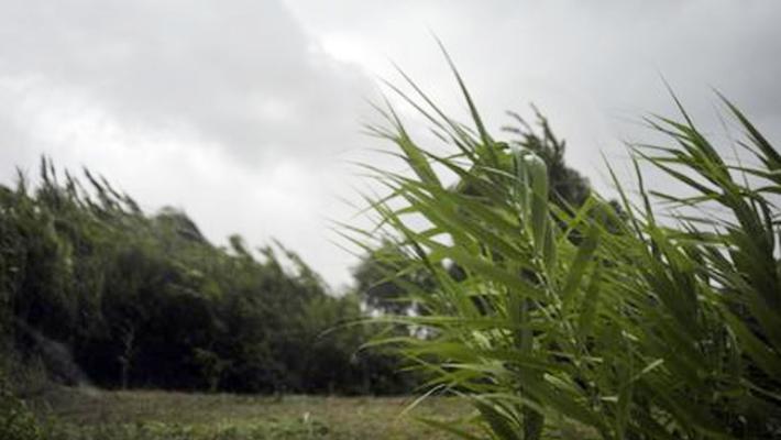 Allerta gialla per il vento sulle montagne dell'Emilia Romagna