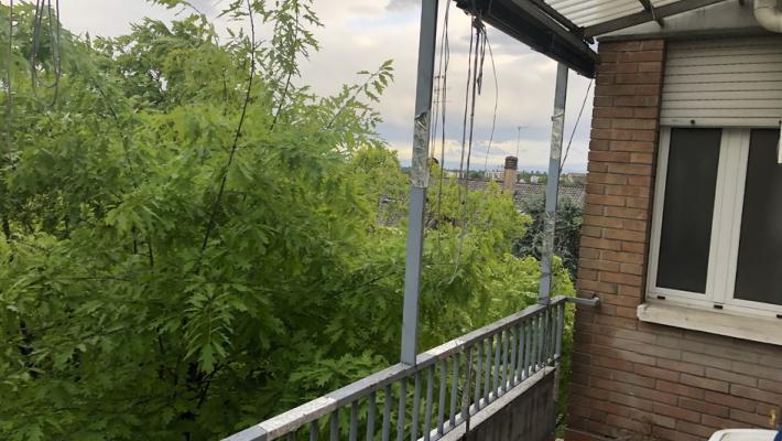 Piazzale Maestri, invasione di rami fino al quinto piano. «Problemi di sicurezza»