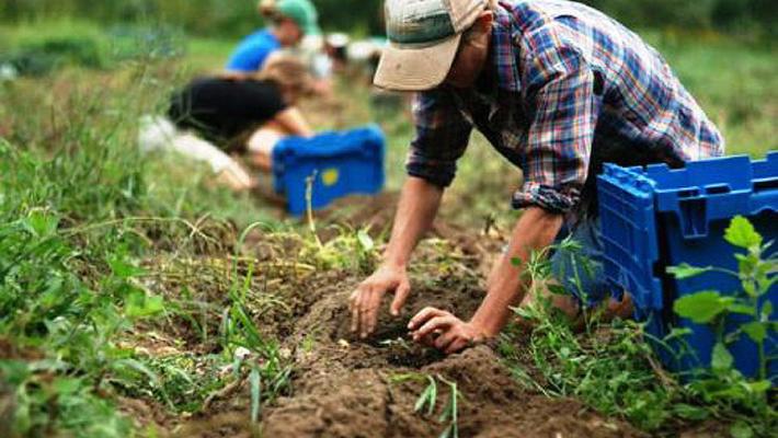 Rinnovato il contratto provinciale degli operai agricoli e florovivaisti