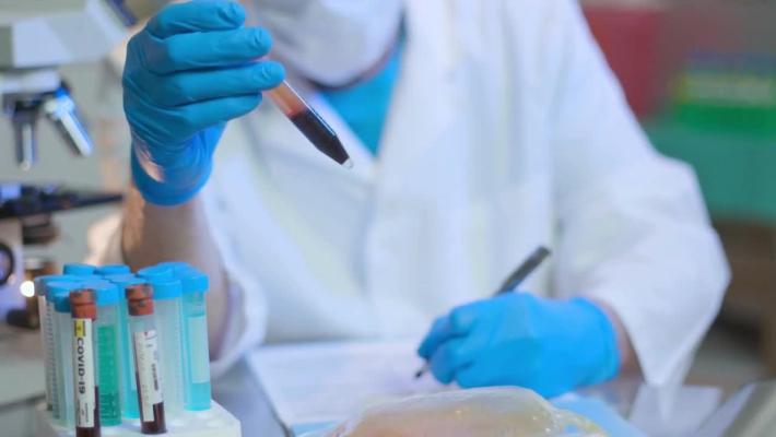 Covid: due vittime  a Parma, 245 nuovi positivi e 2 ricoverati in terapia intensiva