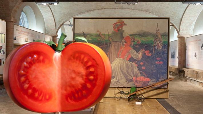 Marini: «Entriamo nella Fondazione Unesco. Presto il Museo del Porcino»