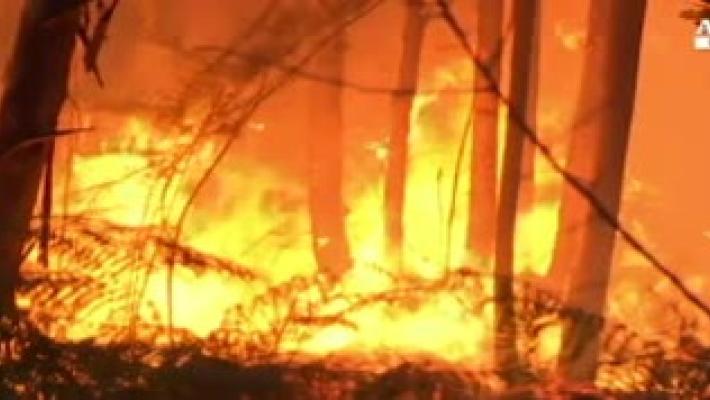 Pericolo incendi boschivi,  prudenza nel bruciare stoppie e legname