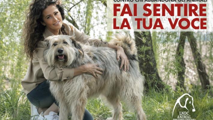 La campagna #faisentirelatuavoce per denunciare chi abbandona gli animali