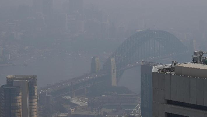 Sydney, nudisti disturbati da un cervo fuggono, multati
