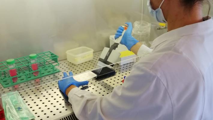 Pongolini: «In Emilia la variante Delta al 25%. A Parma tempo due mesi»