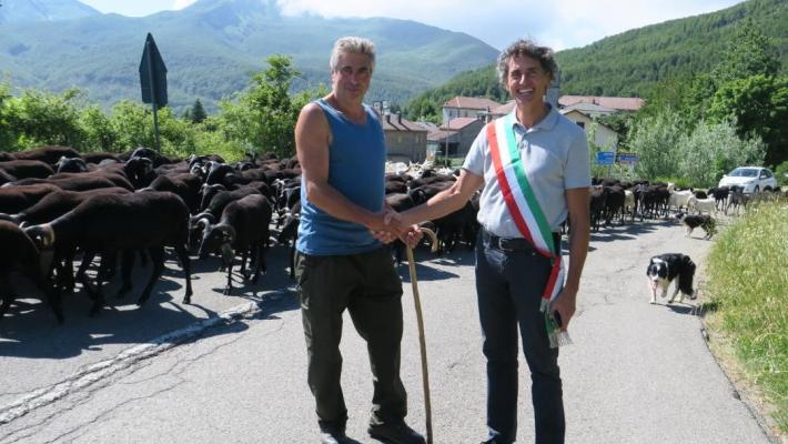 Transumanza sui prati del Monte Navert: il pastore e il suo gregge accolti dal sindaco