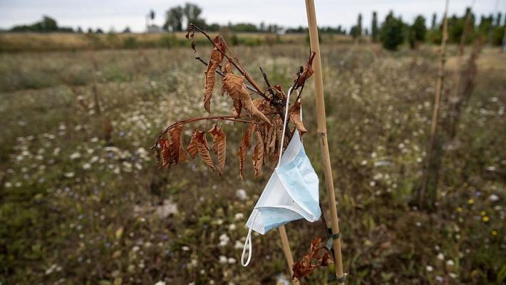 «Il bosco urbano? Solo rami secchi». Scatta la protesta