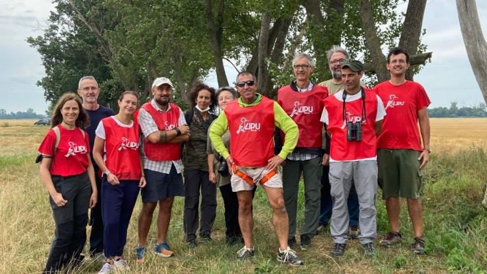 Bassa, falco cuculo al sicuro