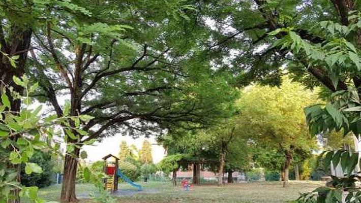 Manifesto San Leonardo: "Il Piano verde del Comune? Nel nostro quartiere situazione molto peggiorata"