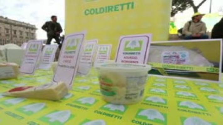 Pastori in piazza per difendere pecorino romano