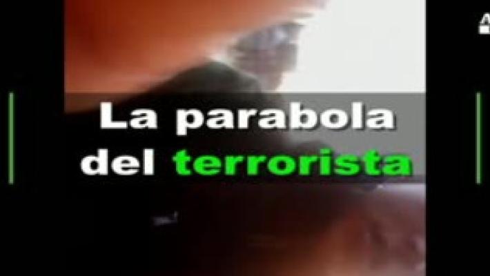 La parabola italiana del terrorista Amri