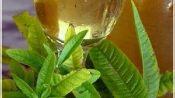 Concorso Erba luigia: iscrizioni  aperte