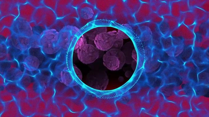 Individuato un legame tra 22 pesticidi e il tumore alla prostata