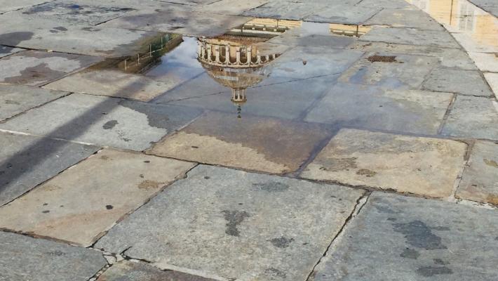 "Uno scatto ricco di poesia": gioco di riflessi in piazza Garibaldi a Parma