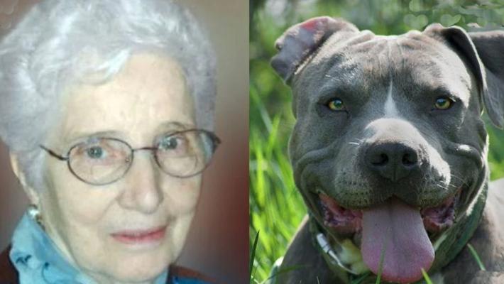 Anziana morta sbranata dai cani dei vicini a Sassuolo, indagata la badante