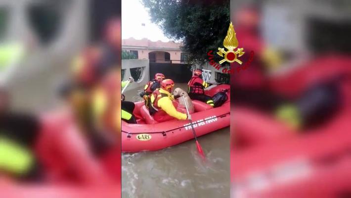 Maltempo, i vigili del fuoco salvano in gommone un uomo e il suo cane - Video 