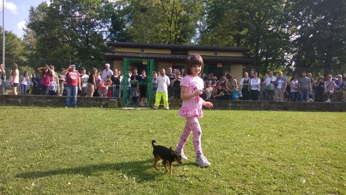 I cani e la sicurezza dei bambini. L'importanza dell'educazione