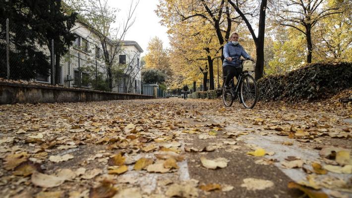 Foglie cadute, allarme per la mancata pulitura della strade