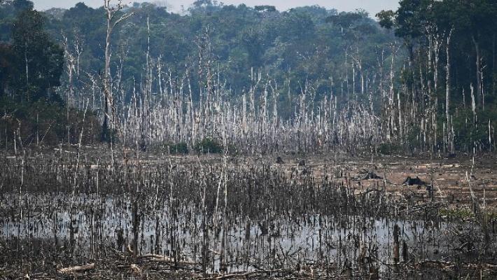 Cop26: Brasile si impegna a ridurre 50% gas serra entro 2030