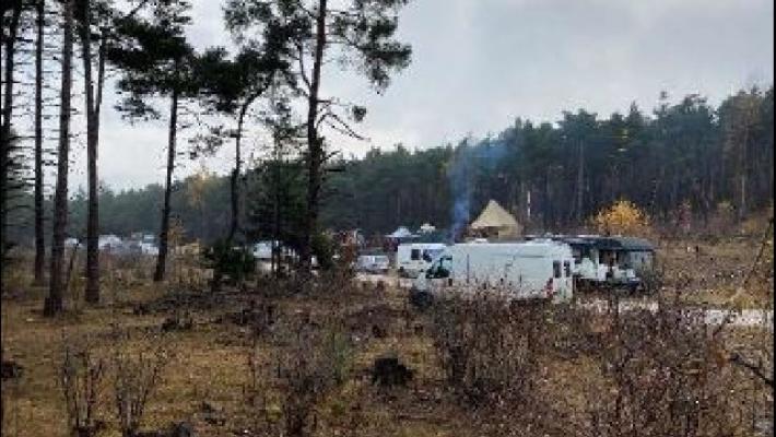 Rave party in un bosco svizzero, 400 sfollati da polizia