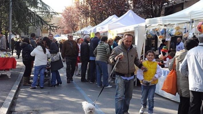 Quartieri e Frazioni: la voce dei cittadini