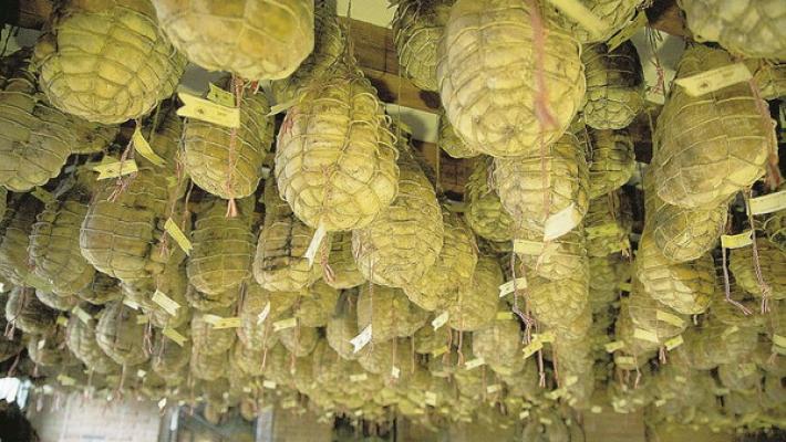 Culatello di Zibello: fatturato al consumo oltre il 22%